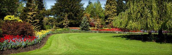 Darryl Myers Tree Service