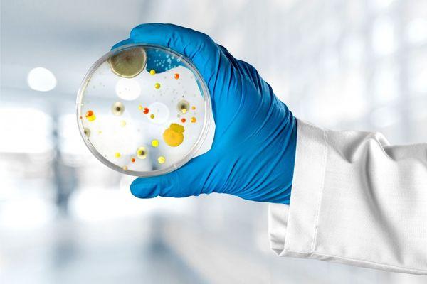 CVS Environmental Testing