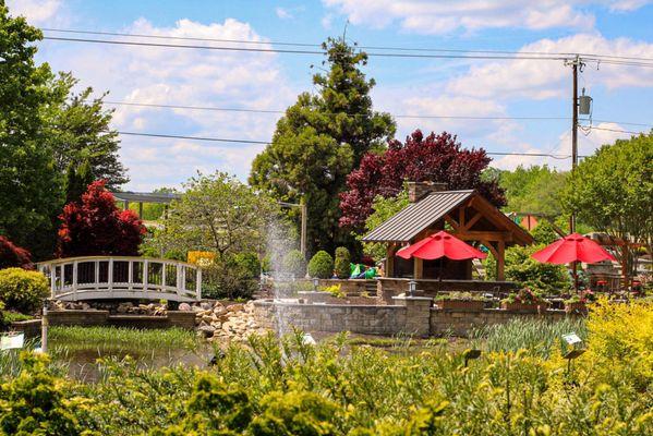 Our beautiful Midlothian Nursery and Garden Center