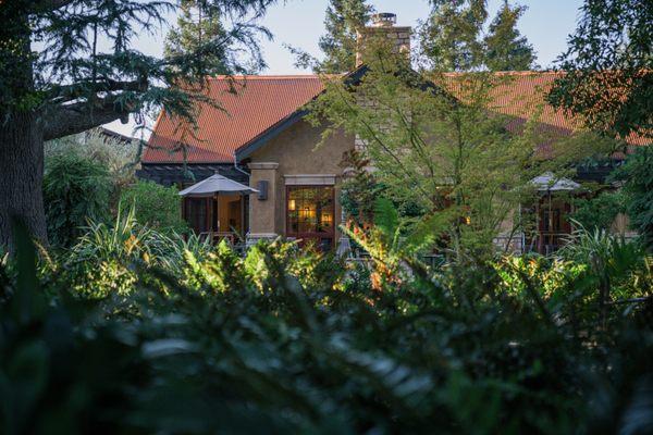 Harney Lane Vineyards