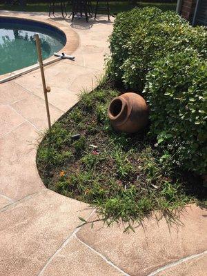 Ollie's Mow 4 Your Money Lawn and Pool Serv