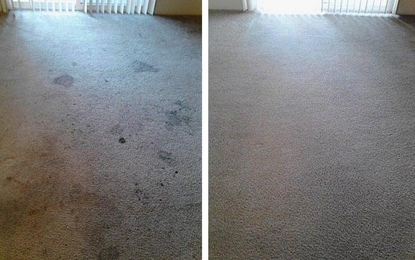 3D Carpet Cleaning and Services