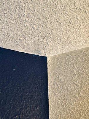 MOTIV Premium Painting