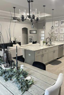 Plaster's Complete Cleaning