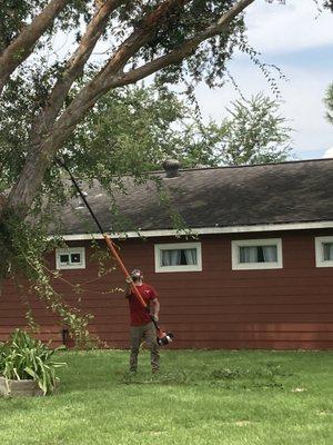 Paul with his pole saw.