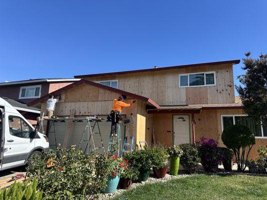 Plywood Installation