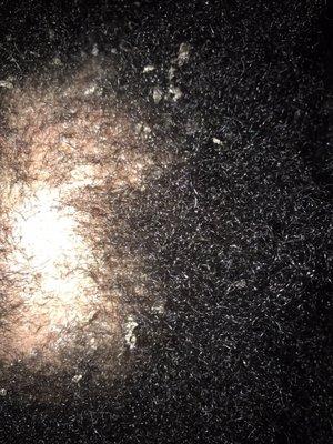 Lovely African Braids