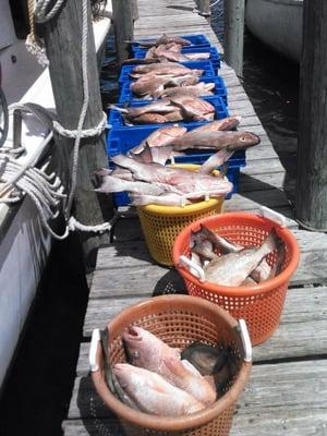 From the Shore to our Store - fresh, local and delicious seafood!