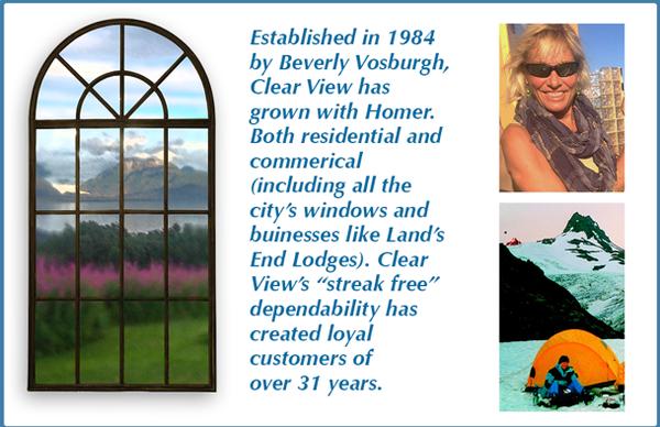 Clear View Window Washing