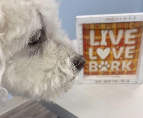 Odenton Veterinary Hospital