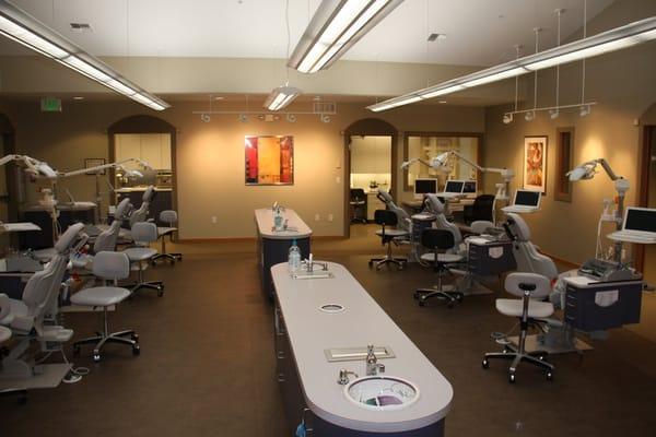 Orthodontic Treatment Area
