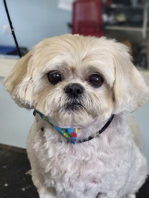 Hopewell Veterinary Hospital