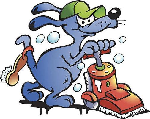 Nepa Dry Organic Carpet Cleaning