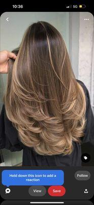 The image I showed of what i wanted (my hair was about this long when i went in)