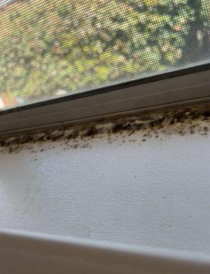 The Vaulet Group/ReMax Professionals