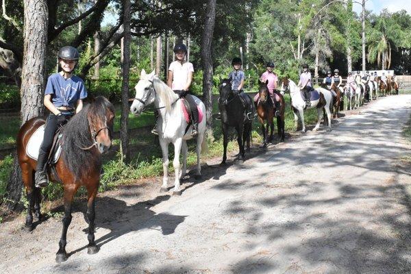 Paradise Pines Equine Center
