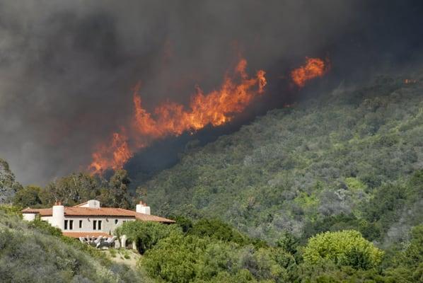 Fire Shield Brush Clearance