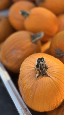 Soergel Orchards