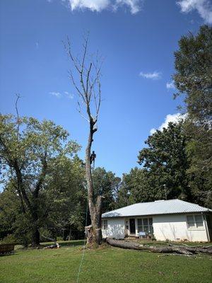 Caldwell Tree Solutions