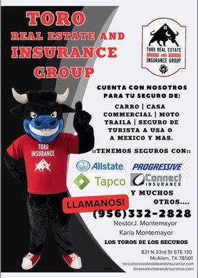 Toro Real Estate and Insurance