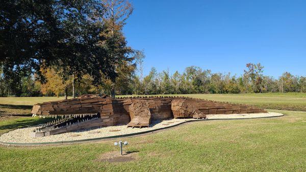 Alligator 11-23-2022