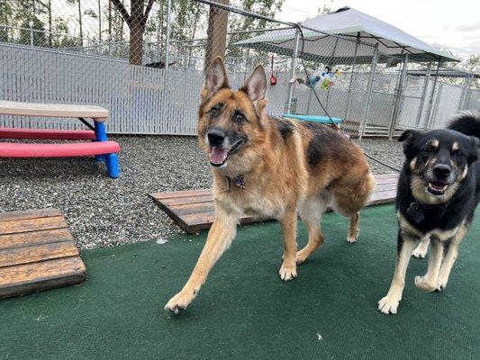 Lakeside Pet Retreat