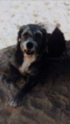 Mike Veterinary Clinic