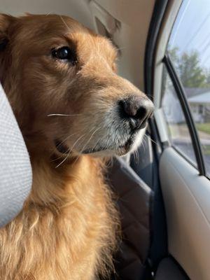 Martin Veterinary Clinic