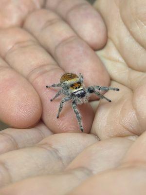 Northwest Seed & Pet