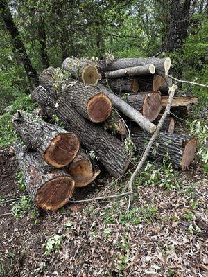 Fernando’s Tree Service