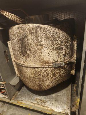 Air Quality solutions.     Accumulated a growth