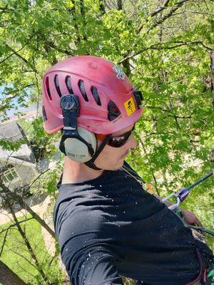 Rose Tree Care Specialist