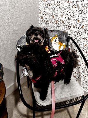 Granger Veterinary Hospital