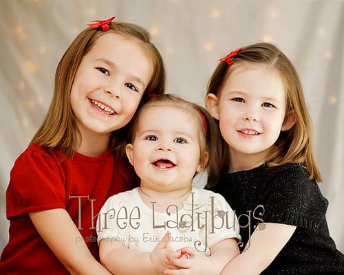 Three Ladybugs Photography