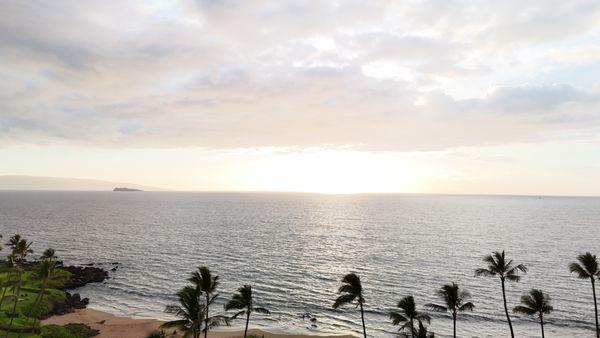 Skyview Drone Services