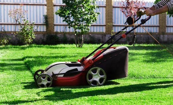Prime Mowing and Cleaning Services