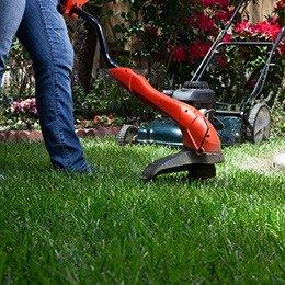 Decoration Landscaping