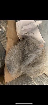 Better Homes Property Management