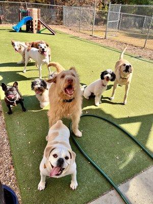 Fox Creek Animal Lodge