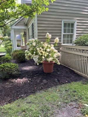 Green Pastures Outdoor Services