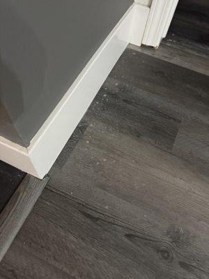 Hydrex Pest Control of the North Bay