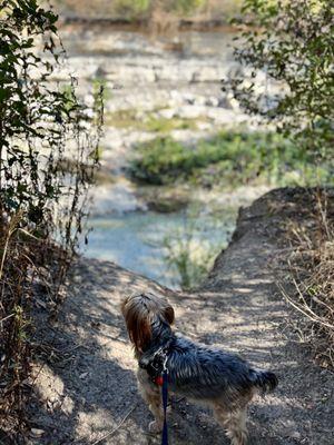 Trail to overlook the creek