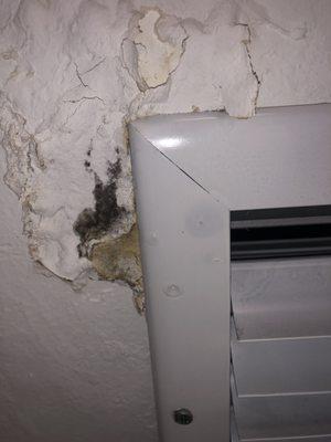 Moisture in the ceiling that MRT missed