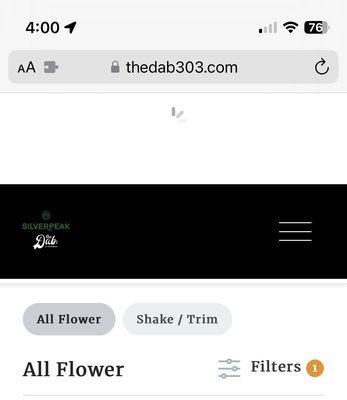 Website