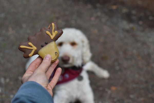 Bar Harbor Tea Company