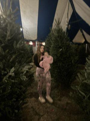 Happy Holiday Christmas Trees