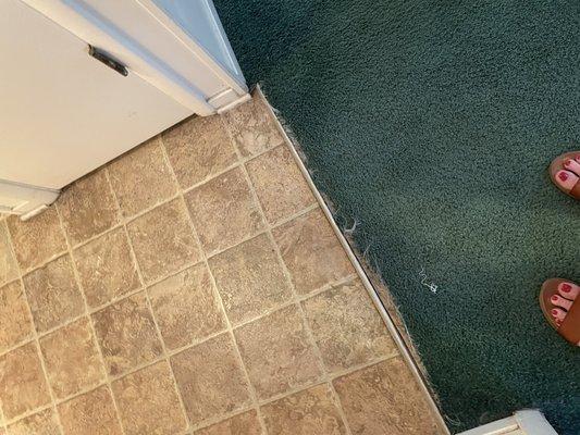 Torn and damaged carpet