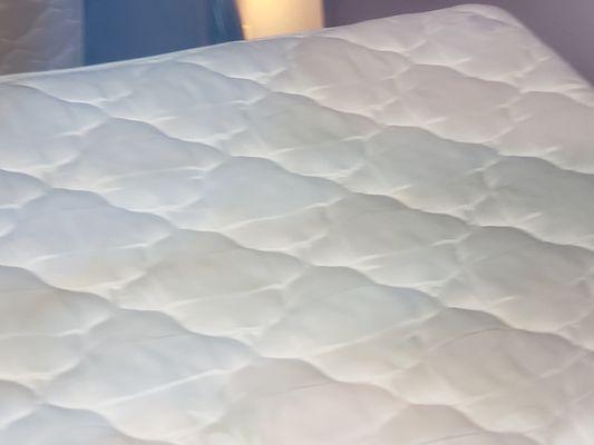 We took all the stuff off beds to look after finding one because this has never happened and we panicked. Mattresses had stains all over