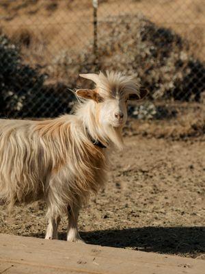 Lost Creek Canyon Ranch