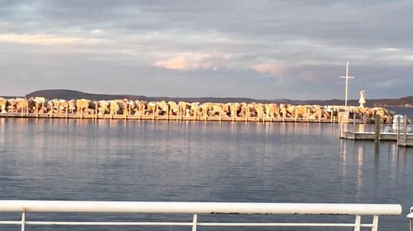 come be a part of Northern Michigan's beauty